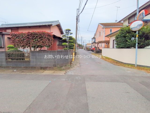 撮影日(2025-11-13 00:00:00)