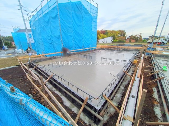 撮影日(2025-11-13 00:00:00)