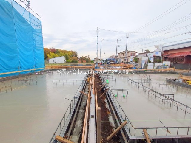 撮影日(2025-11-13 00:00:00)