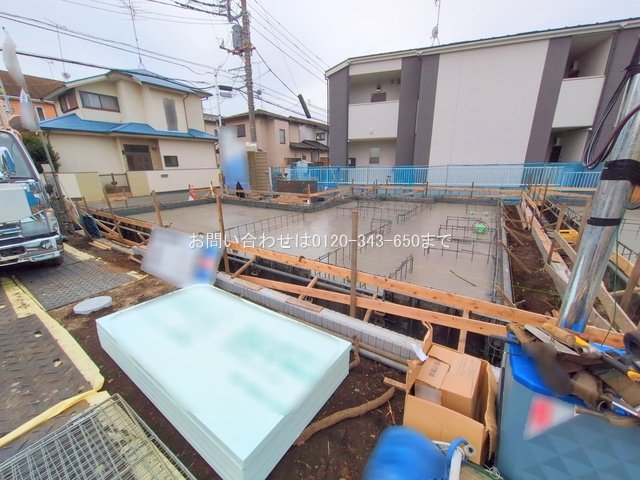 撮影日(2025-11-13 00:00:00)