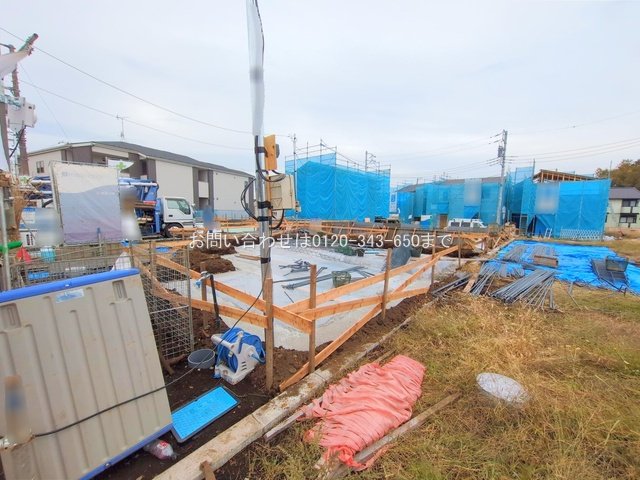 撮影日(2025-11-13 00:00:00)