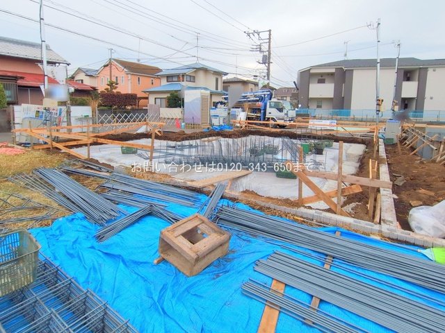 撮影日(2025-11-13 00:00:00)