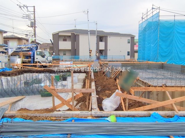 撮影日(2025-11-13 00:00:00)