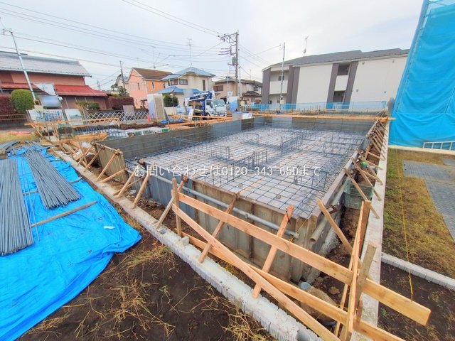 撮影日(2025-11-13 00:00:00)