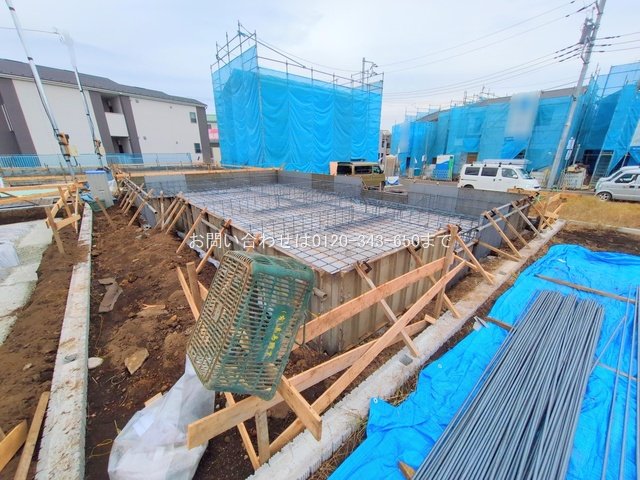 撮影日(2025-11-13 00:00:00)