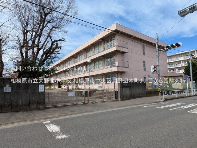 相模原市立大野北小学校 撮影日(2025-03-18) 850m