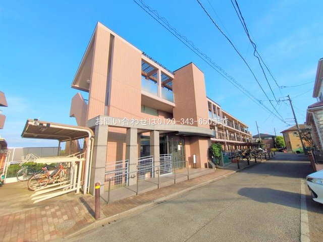 撮影日(2025-06-20)