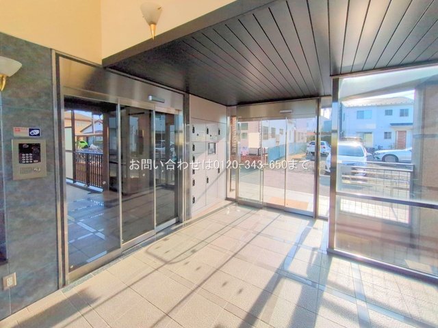 撮影日(2025-06-20 00:00:00)