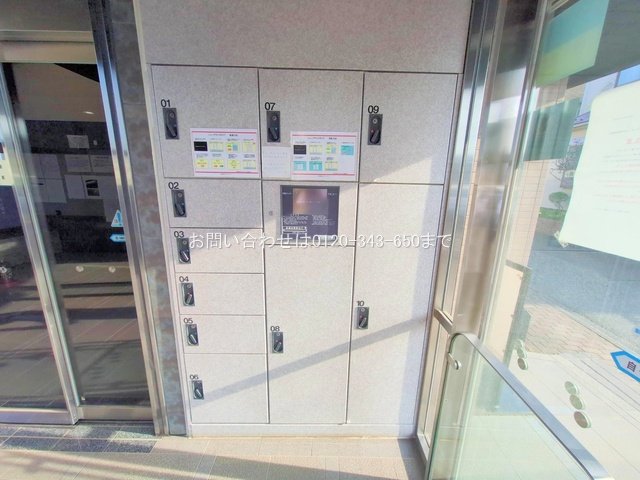 撮影日(2025-06-20 00:00:00)