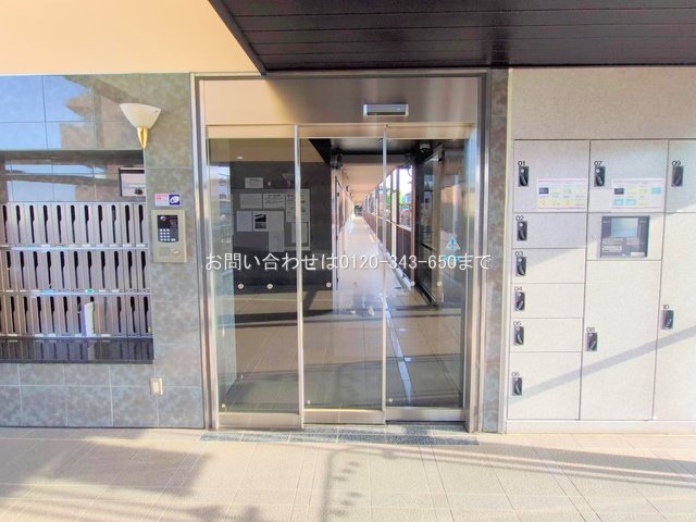 撮影日(2025-06-20 00:00:00)