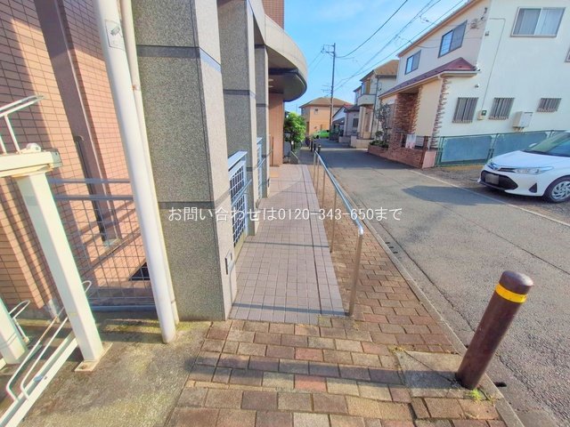 撮影日(2025-06-20 00:00:00)