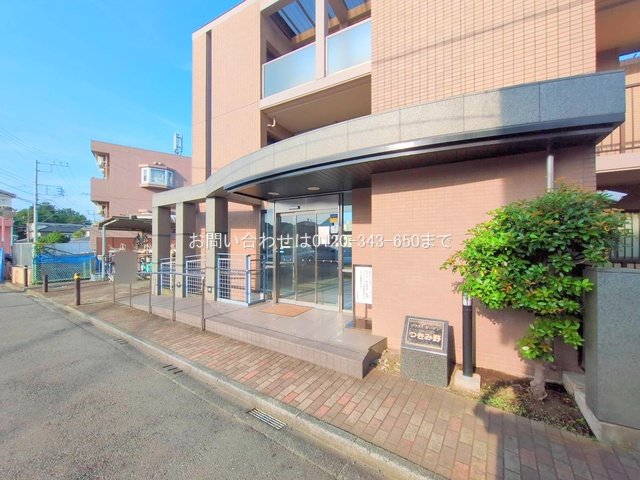 撮影日(2025-06-20 00:00:00)