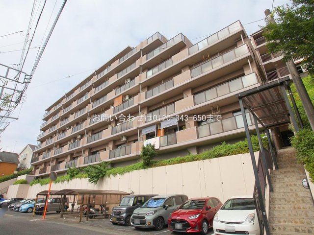 撮影日(2024-08-02 00:00:00)