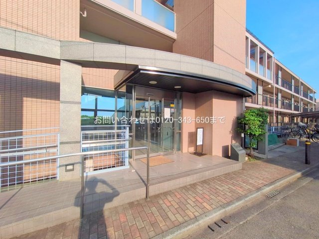 撮影日(2025-06-20)