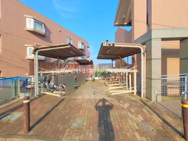 撮影日(2025-06-20 00:00:00)