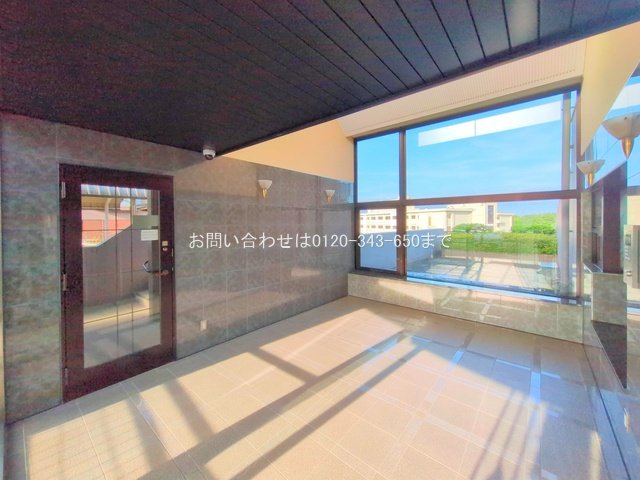 撮影日(2025-06-20 00:00:00)