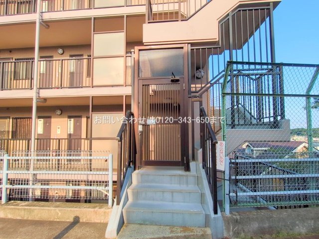 撮影日(2025-06-20 00:00:00)