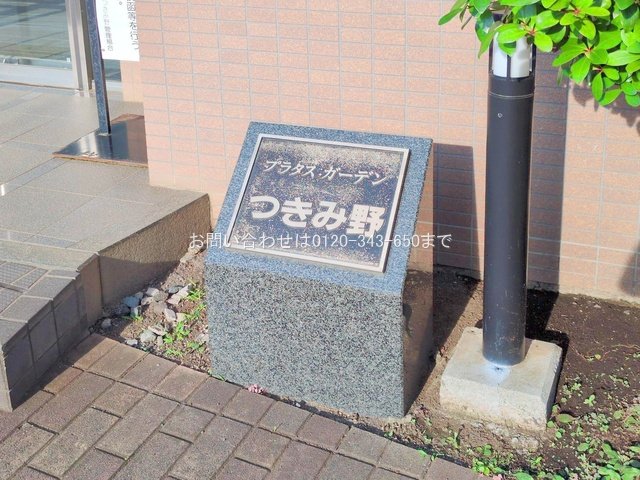 撮影日(2025-06-20 00:00:00)