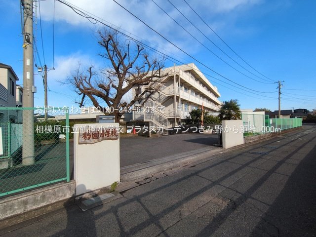 相模原市立鶴園小学校 撮影日(2025-03-17) 1000m