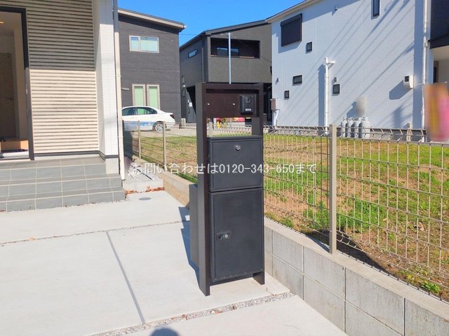 撮影日(2025-11-17 00:00:00)