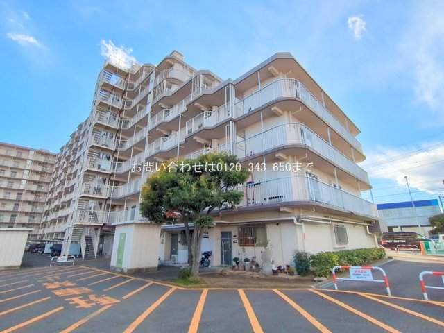 撮影日(2025-02-05)