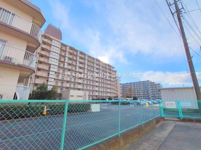 撮影日(2025-02-05 00:00:00)