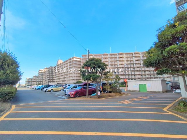 撮影日(2025-02-05 00:00:00)