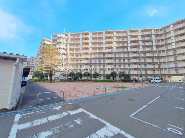 撮影日(2025-02-05 00:00:00)