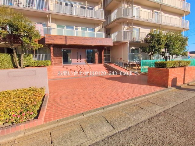 撮影日(2025-02-05)