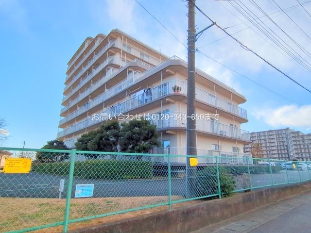 撮影日(2025-02-05 00:00:00)