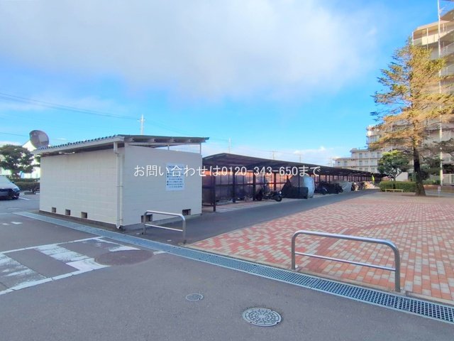 撮影日(2025-02-05 00:00:00)