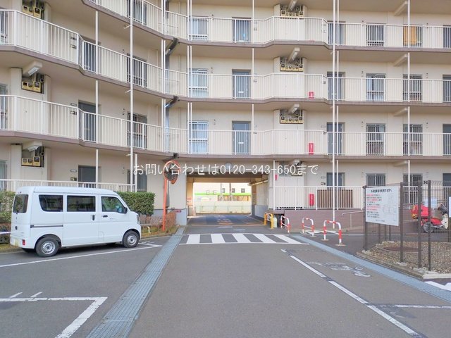 撮影日(2025-02-05 00:00:00)