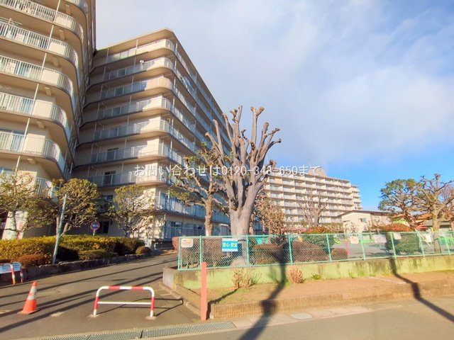 撮影日(2025-02-05 00:00:00)