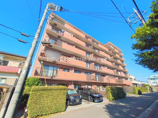 撮影日(2025-11-14)