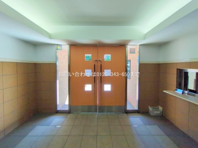 撮影日(2025-11-14 00:00:00)