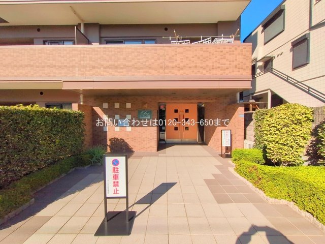 撮影日(2025-11-14)