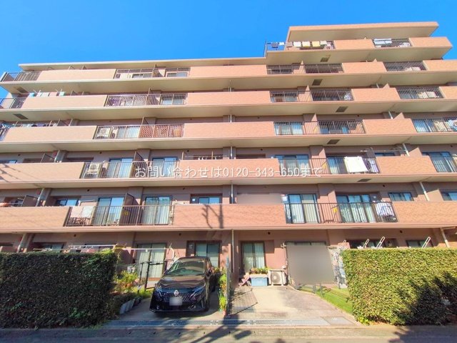 撮影日(2025-11-14 00:00:00)