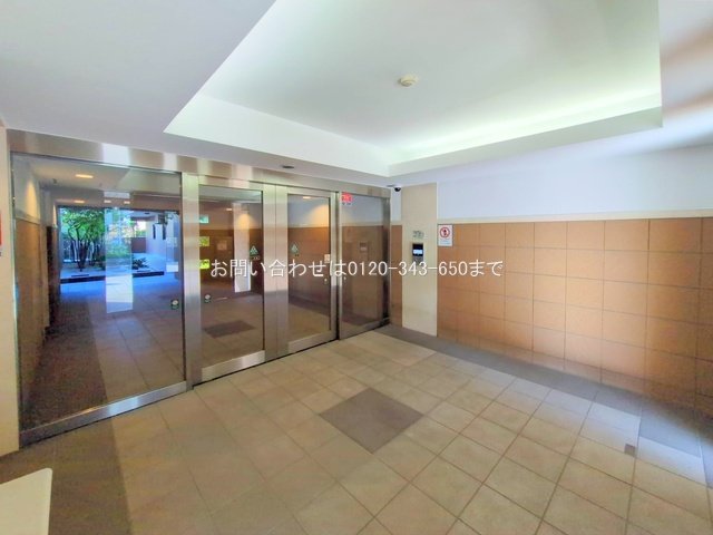 撮影日(2025-11-14 00:00:00)