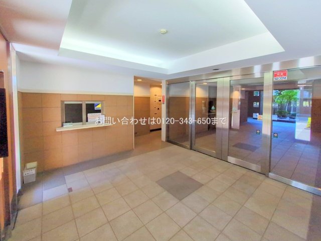 撮影日(2025-11-14 00:00:00)