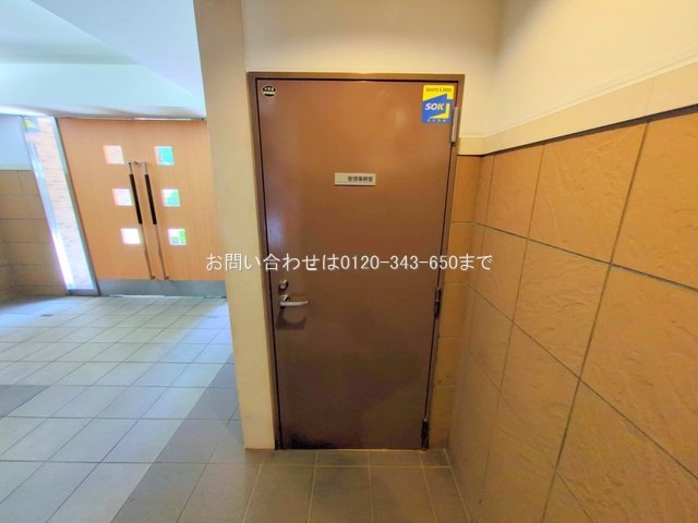 撮影日(2025-11-14 00:00:00)