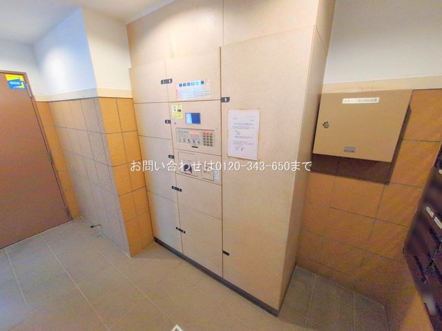 撮影日(2025-11-14 00:00:00)