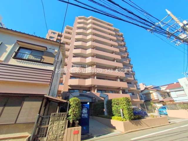 撮影日(2025-11-17)