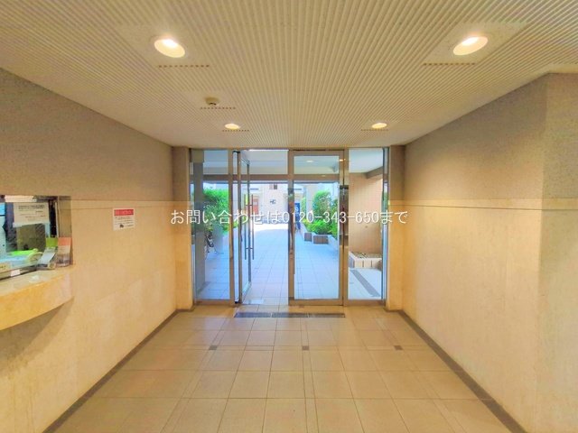 撮影日(2025-11-17 00:00:00)