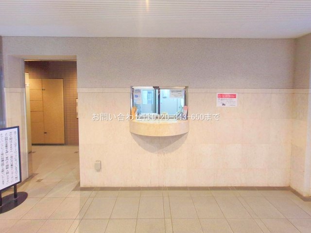 撮影日(2025-11-17 00:00:00)