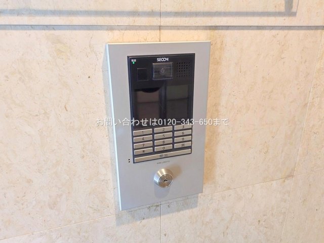 撮影日(2025-11-17 00:00:00)