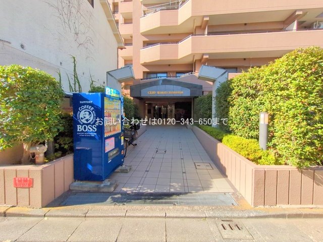 撮影日(2025-11-17 00:00:00)