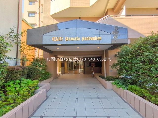 撮影日(2025-11-17)