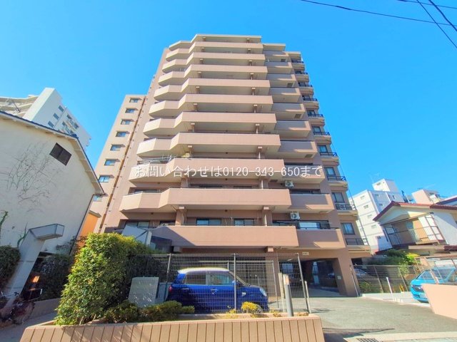 撮影日(2025-11-17 00:00:00)