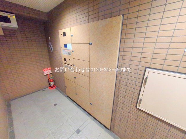 撮影日(2025-11-17 00:00:00)