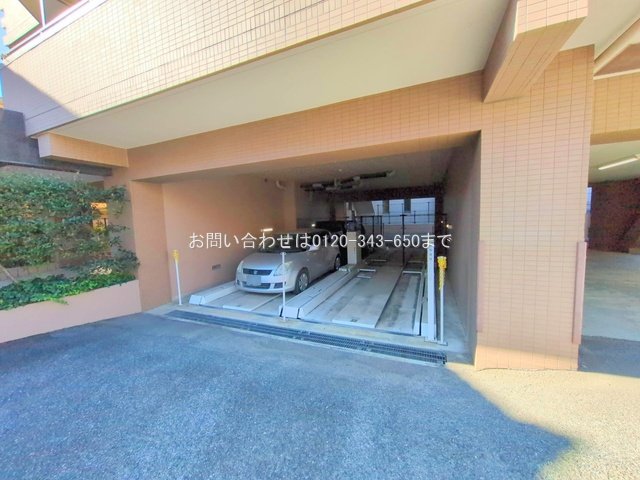 撮影日(2025-11-17 00:00:00)